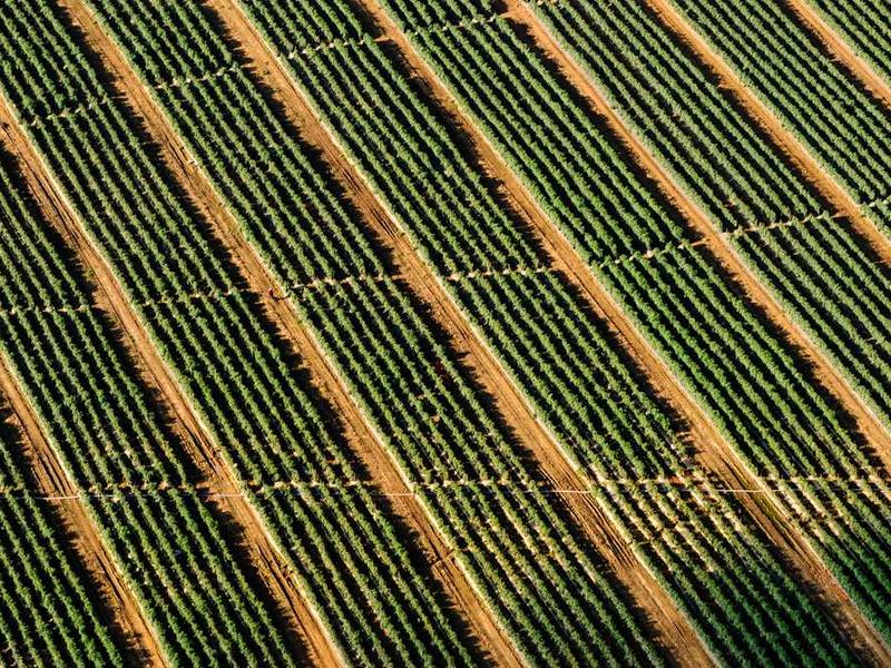 Developer working with AI assistant